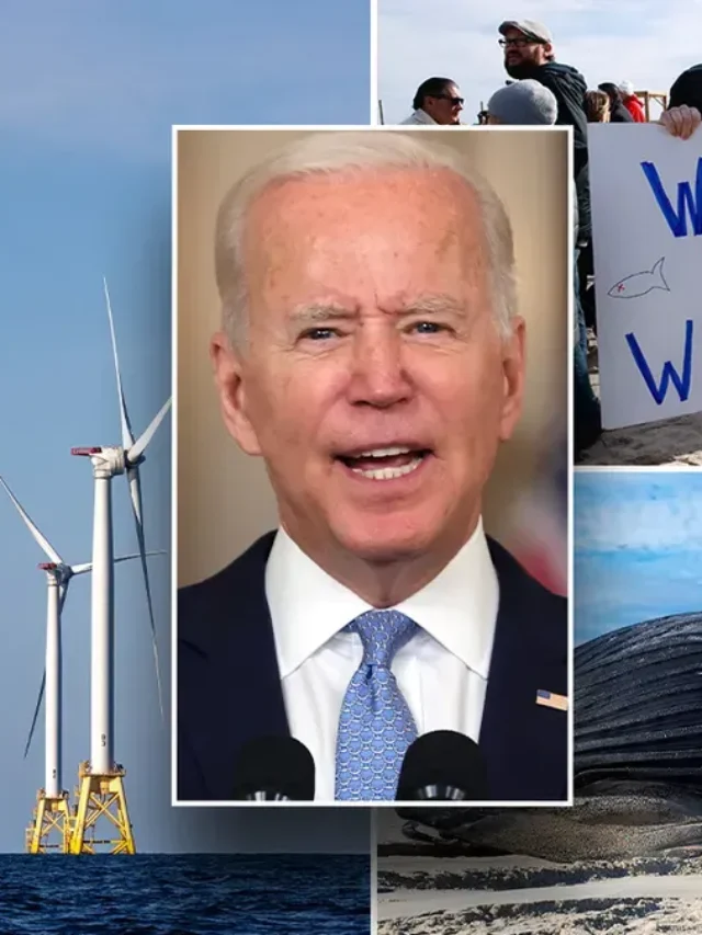 Biden's Green Dream Stumbles as Major Wind Project Cancelled
